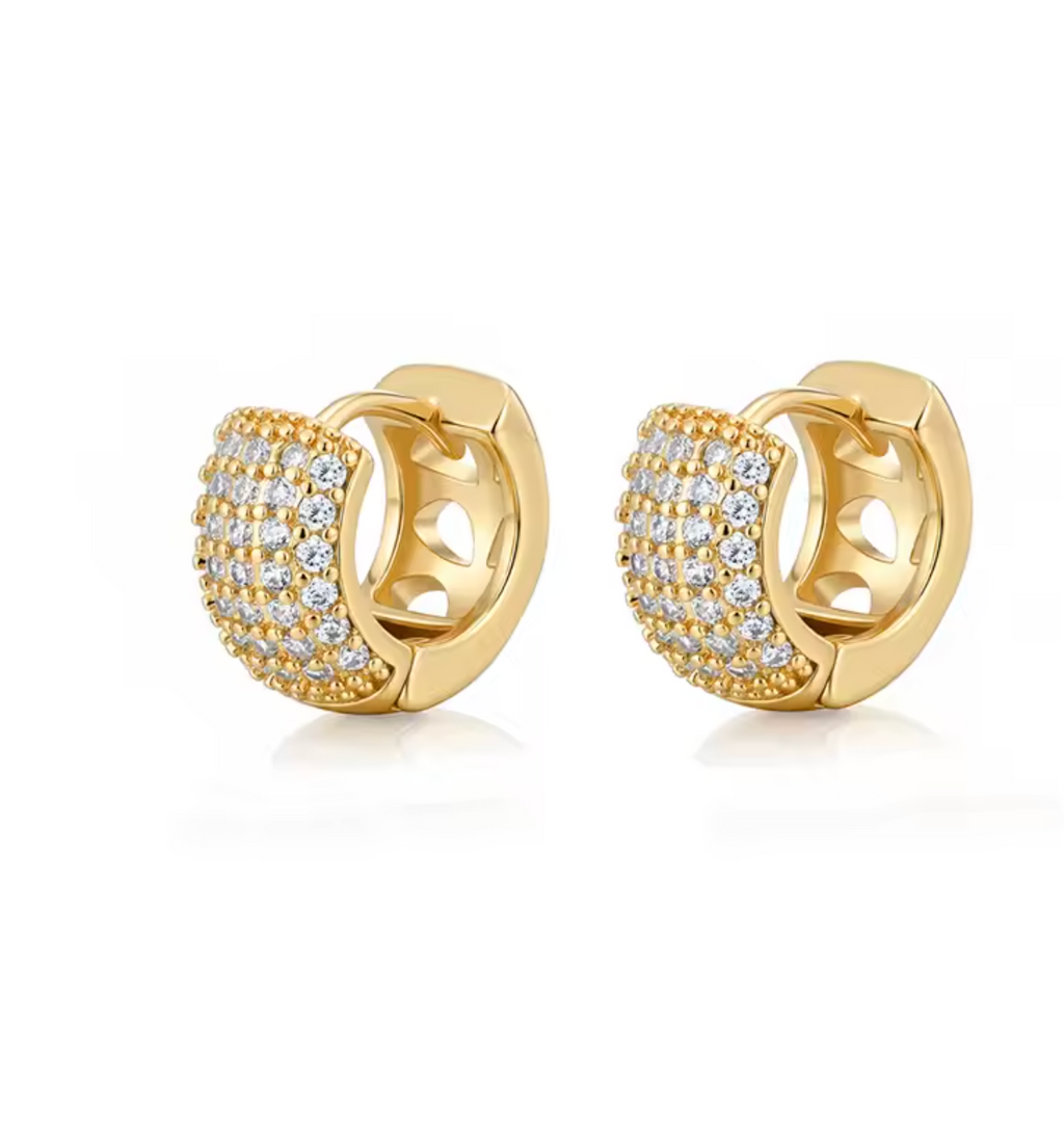 Zirconia Round Huggie Hoop Earrings for Women