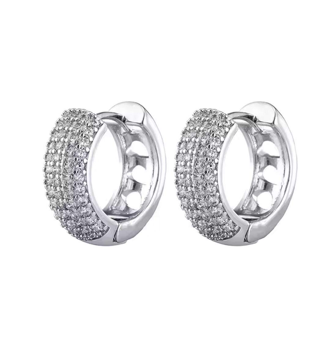 Zirconia Round Huggie Hoop Earrings for Women