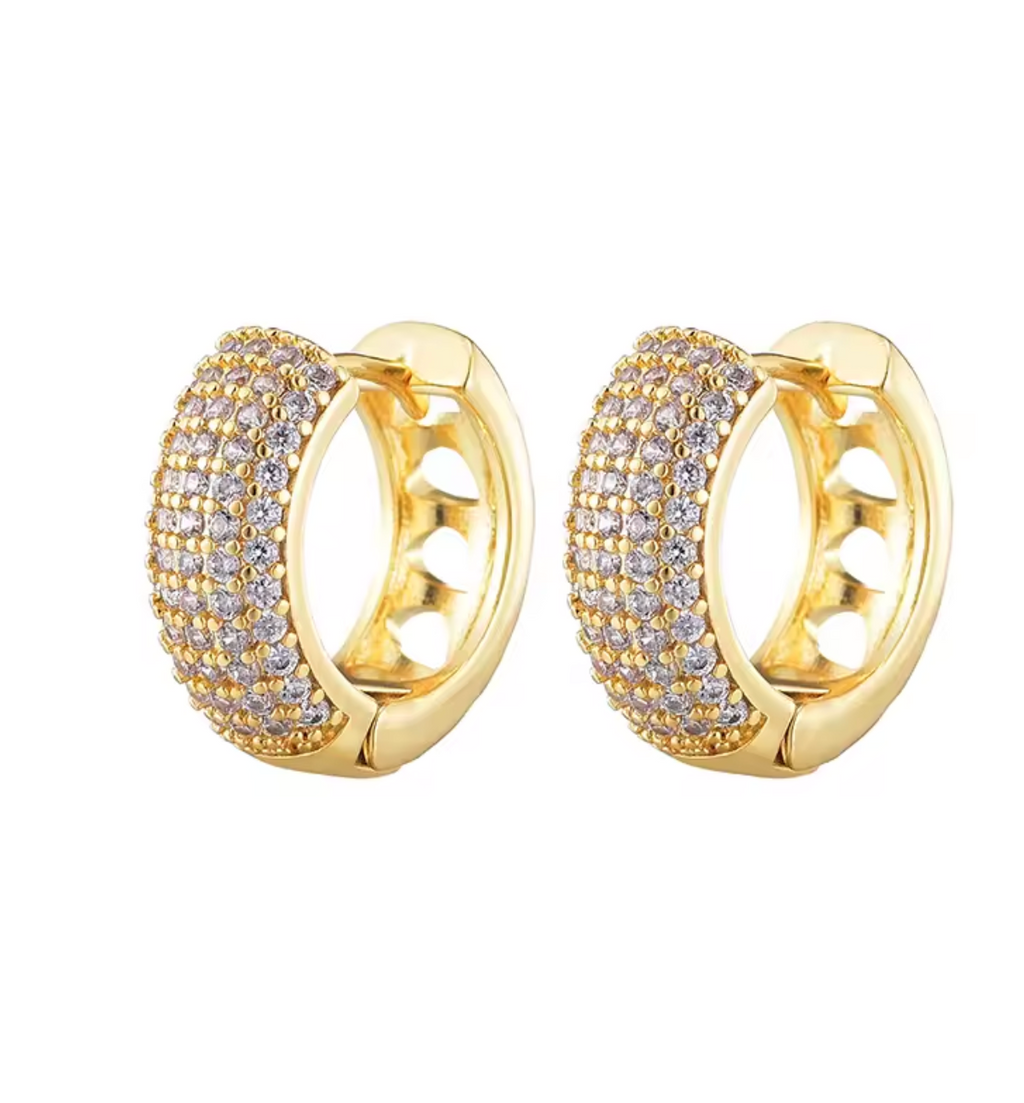 Zirconia Round Huggie Hoop Earrings for Women